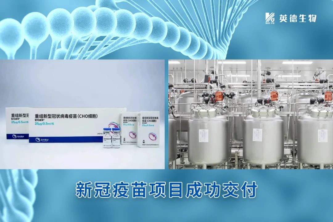 智飞龙科马授予香港六和合资料-英德生物新冠疫苗项目“优秀供应商”荣誉称号